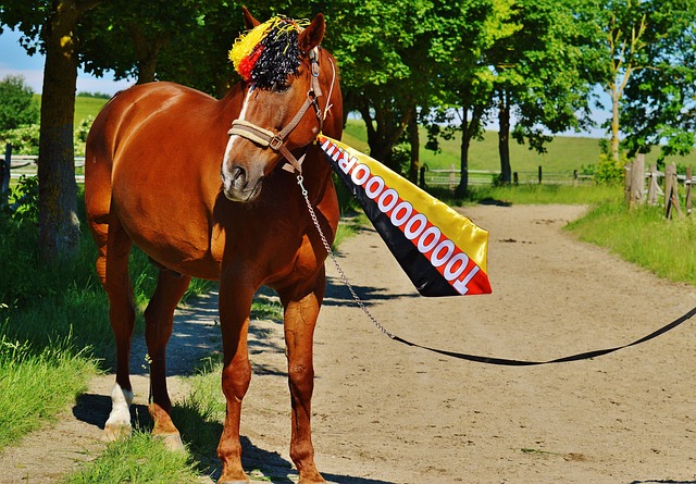 贵在坚持 贵在坚持