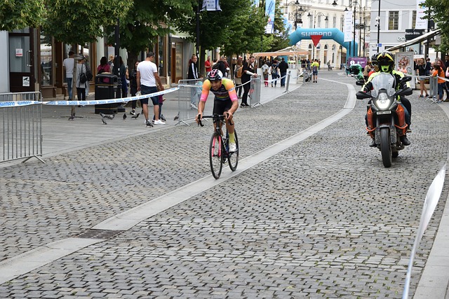 冰雪乐趣的 冰雪乐趣的