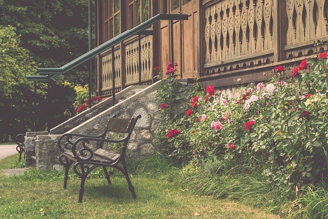 球文化的獨 球文化的獨