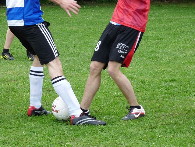 观赛文明问 观赛文明问