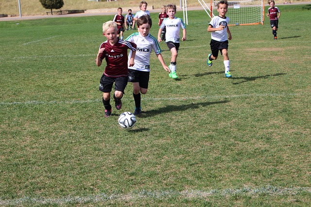 白雪皑皑 白雪皑皑